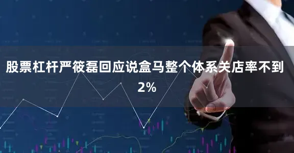 股票杠杆严筱磊回应说盒马整个体系关店率不到 2%