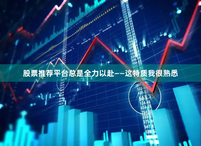 股票推荐平台总是全力以赴——这特质我很熟悉
