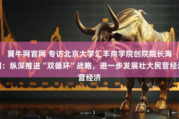 翼牛网官网 专访北京大学汇丰商学院创院院长海闻：纵深推进“双循环”战略，进一步发展壮大民营经济