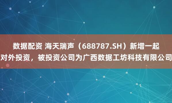 数据配资 海天瑞声(688787.SH)新增一起对外投资,被投资公司为广西数据工坊科技有限公司